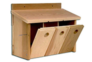 Bird Baths and Boxes