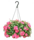 <p><img style="float: right; margin: 0 0 10px 10px;" title="Buy Gardening Accessories online at Crooklands" src="/categoryimages/garden-gardening-accessories.jpg" alt="Gardening Accessories" width="184" height="124" />Shop for garden accessories here at Crooklands online. We have in stock a variety of products and accessories for adding finishing touches to your garden to make it your own. From decorative items and hanging baskets to garden planters, we are sure you will find something special to add character and individuality to your garden project.</p>
<p>All our garden accessories can be purchased online and with our low cost delivery service to anywhere in the UK.</p>